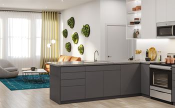 Spacious and relaxing b1 apartment